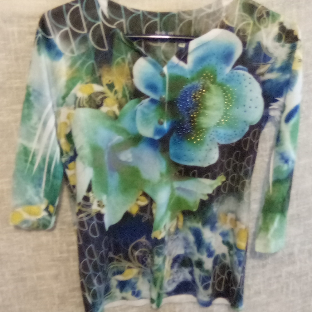 Ladies top